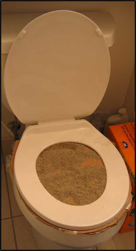 toilettes pour chats