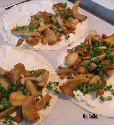 tortillas au chèvre et champignons