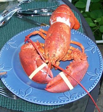 la-saison-du-homard-sen-vient