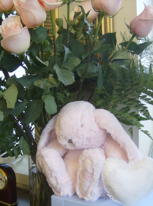 Roses_Lapin_25_137