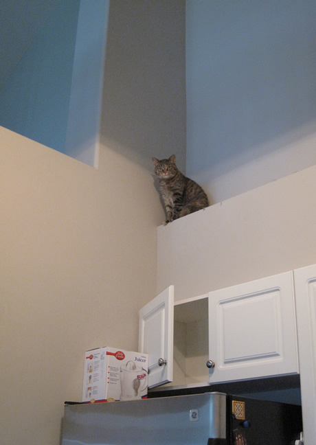 3 Faudrait surtout que la femme de ménage arrive à aller nettoyer là-haut...