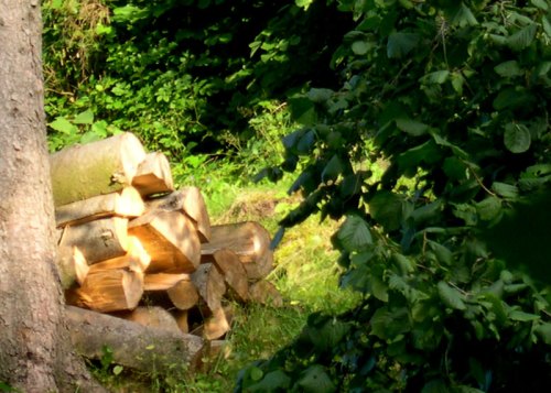 soleil-et-bois soleil-et-bois