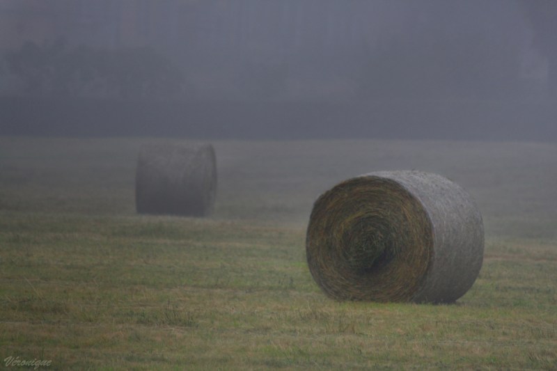 balles-brume- (1) copywtmk