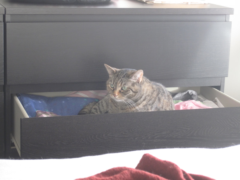 Je dis toujours à la femme de ménage de faire attention en fermant les placards et les tiroirs!