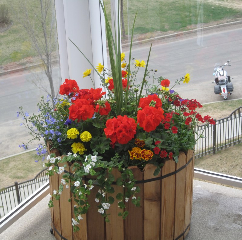 4 mai 2011