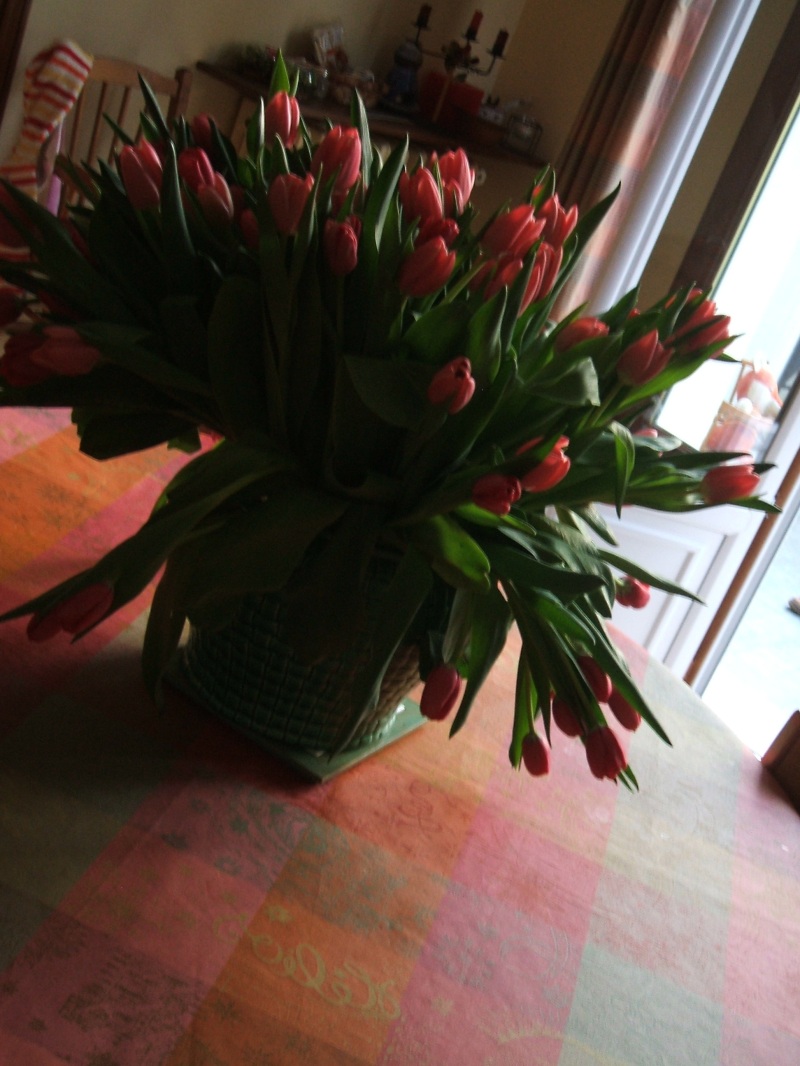Tulipes2 220407
