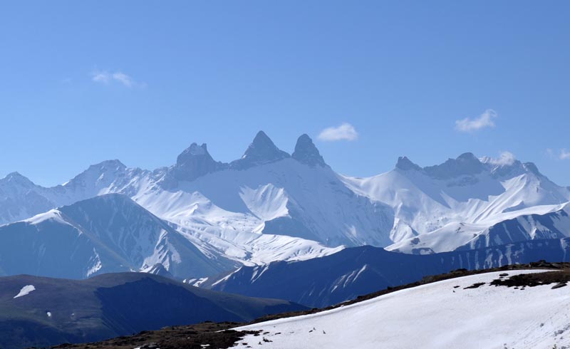 de belles courbes de par chez moi