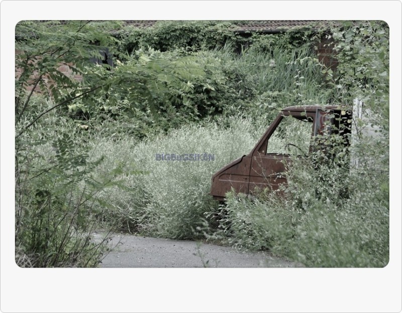 2014_07_24 un truc sauvage