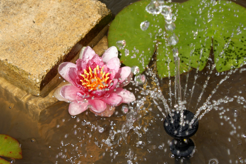 bassine au jet d'eau