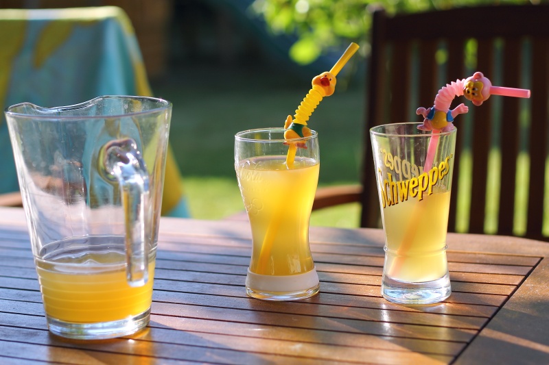 photo2truc-un_truc_frais-elPadawan