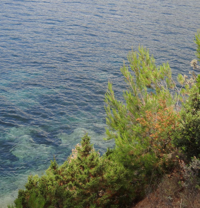 un truc frais 2 réduit