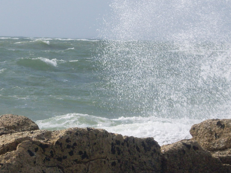 un truc sauvage 2 réd