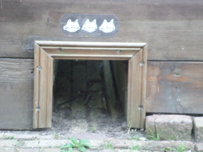 SAMSUNG CAMERA PICTURES