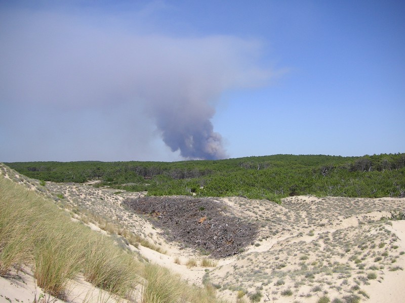 KONICA MINOLTA DIGITAL CAMERA