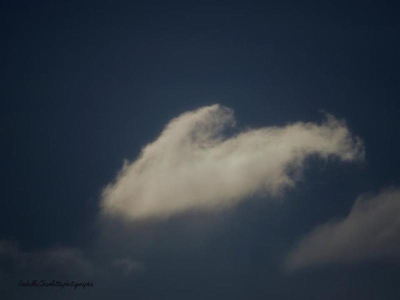 nuage coeur