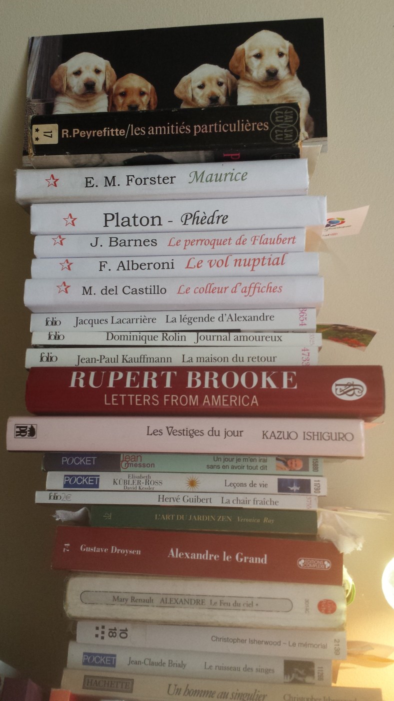 Pile__petite__de_livres_20150625_142023
