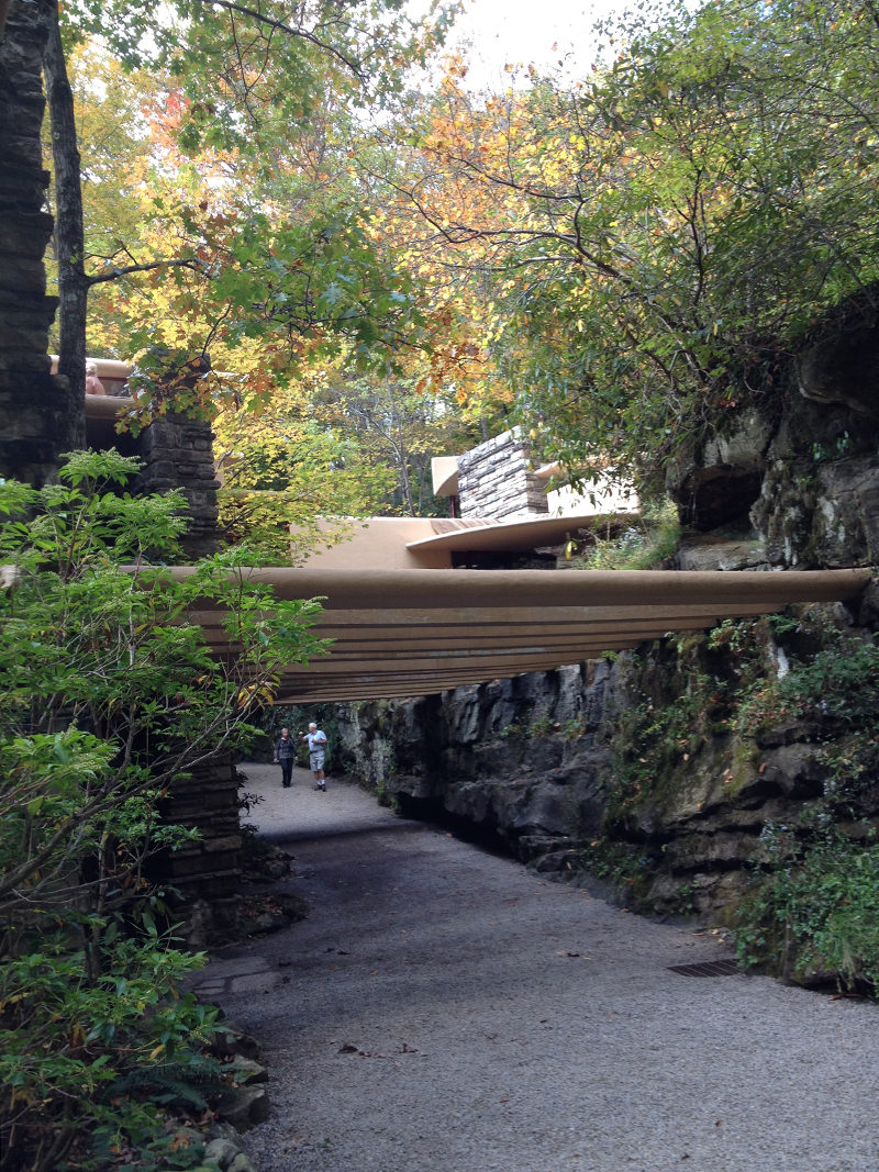 fallingwater13