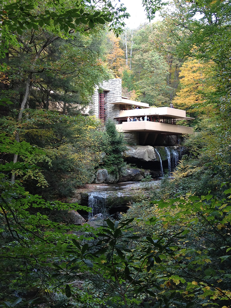 fallingwater14