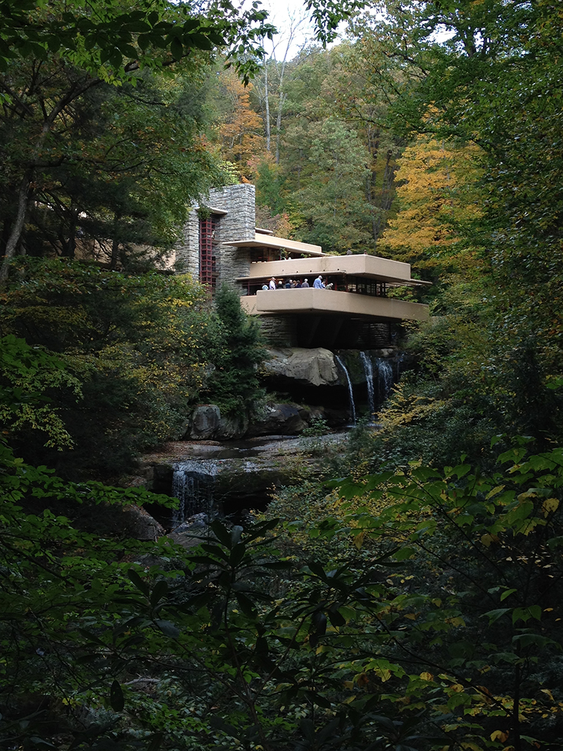 fallingwater15
