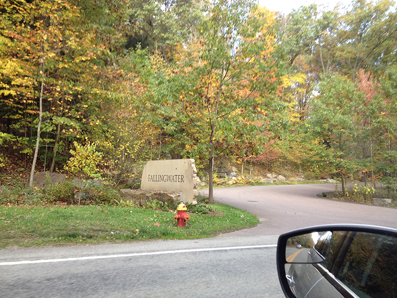 fallingwater8