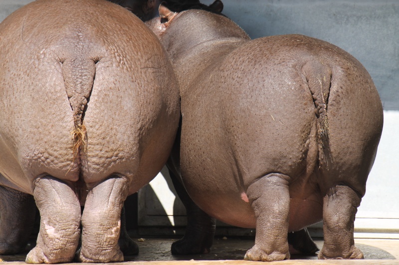 elpadawan-photo2truc-vie-privee